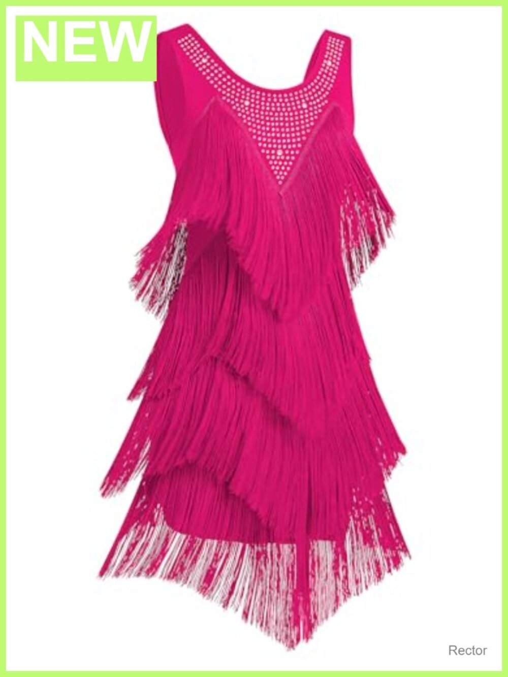 Sequin Fringe Latin Dance Dress Sleeveless Backless Ballroom Costume